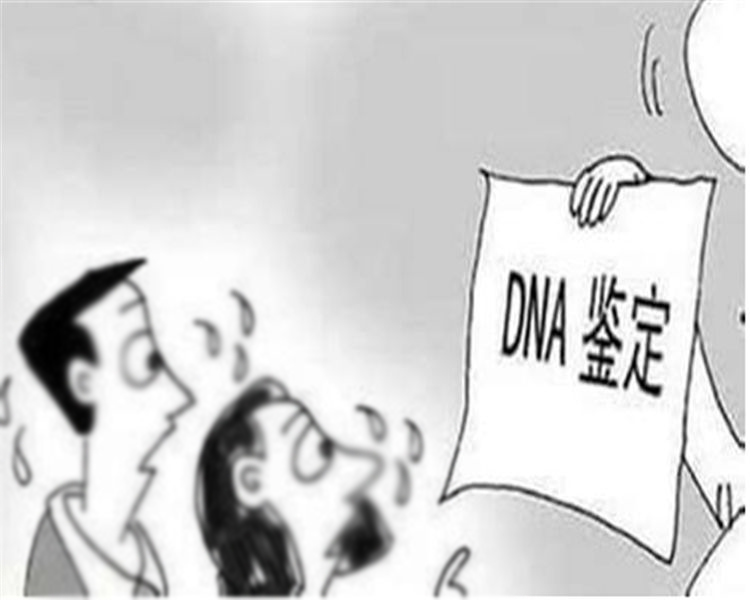 长沙隐私亲子鉴定到哪里,长沙隐私亲子鉴定流程是怎样的